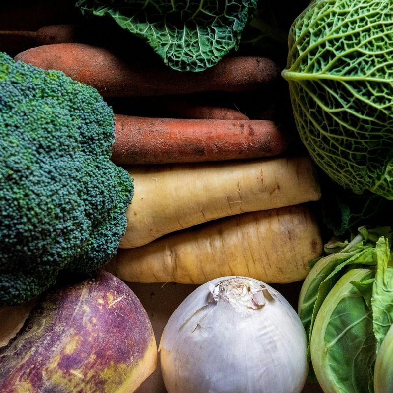 Deep Roots Farm Csa Year Round Farm Boxes